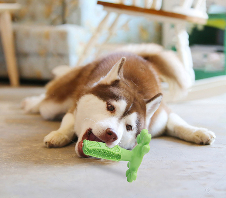 Pet-Champ™ Hundezahnbürste Kauspielzeug - PET-CHAMP
