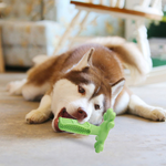 Pet-Champ™ Hundezahnbürste Kauspielzeug - PET-CHAMP