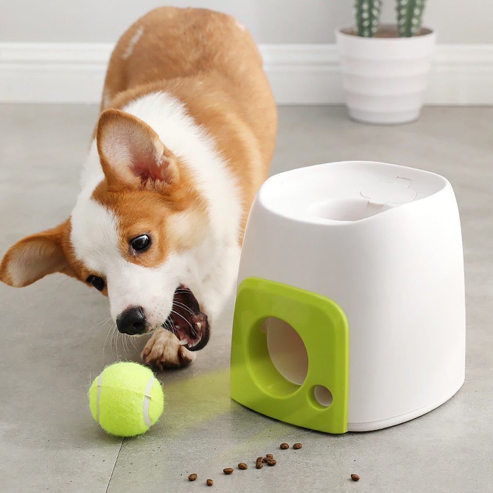 Pet Champ™ Fetch N Treat - Intelligenzspielzeug für Hunde - PET-CHAMP
