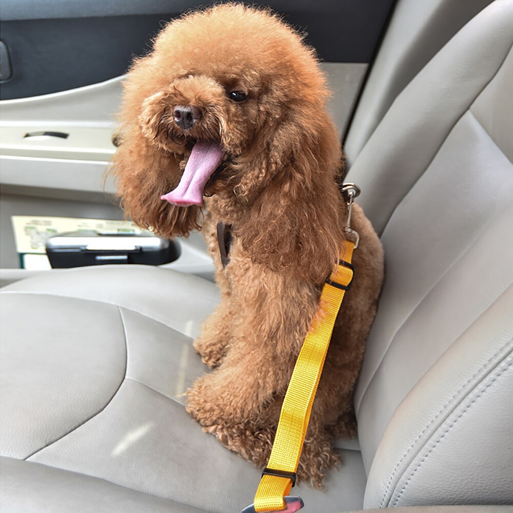 Pet-Champ™ Sicherheitsgurt - PET-CHAMP
