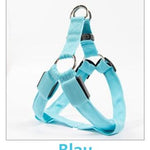 Pet-Champ™ LED Hundegeschirr USB - PET-CHAMP