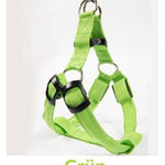 Pet-Champ™ LED Hundegeschirr USB - PET-CHAMP
