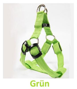 Pet-Champ™ LED Hundegeschirr USB - PET-CHAMP