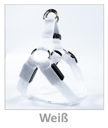 Pet-Champ™ LED Hundegeschirr USB - PET-CHAMP